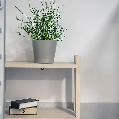 Terrace On Duomo Luxury Flat דירה פירנצה